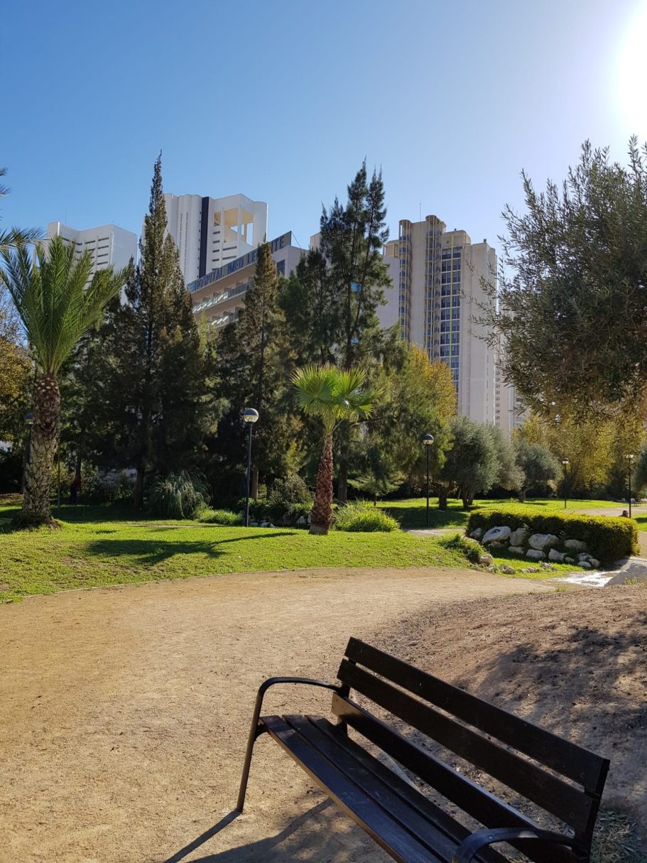 PARQUE PARQUE