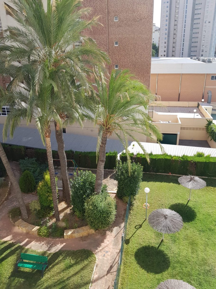 JARDIN JARDIN